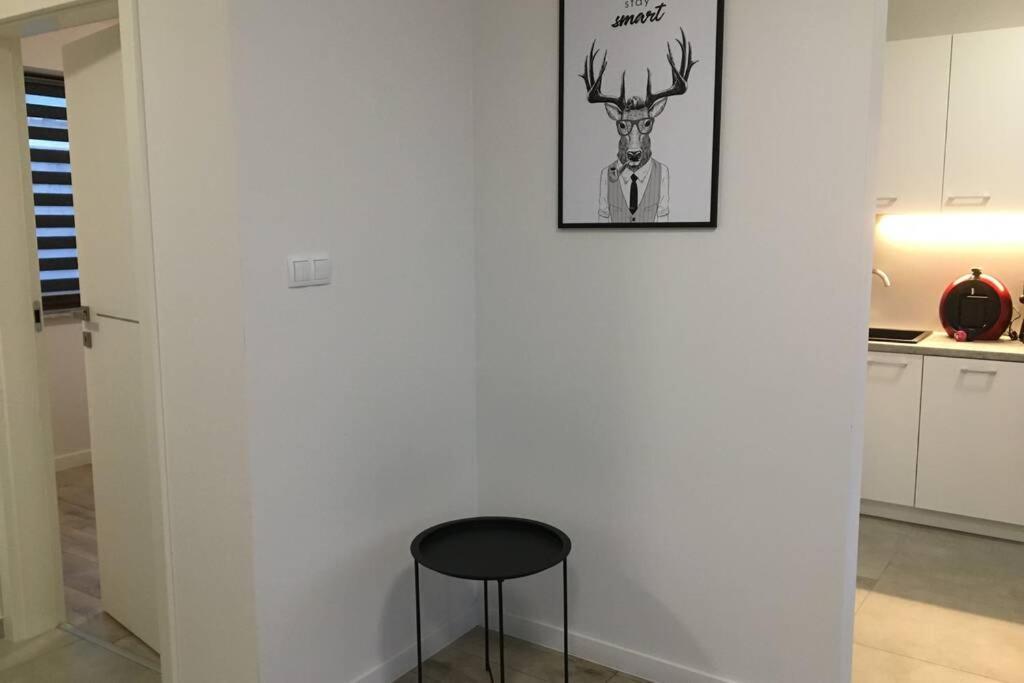 Apartament Fibra Americano Rybnik  Exteriör bild